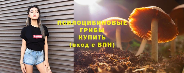 хмурый Балахна