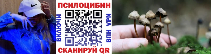 где продают наркотики  Льгов  Галлюциногенные грибы GOLDEN TEACHER 